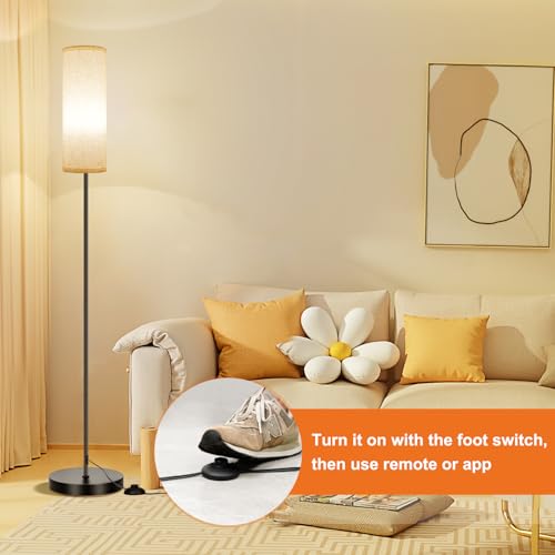 Minimalist FRIDEKO HOME Floor Lamp, 9W 800LM Color Set