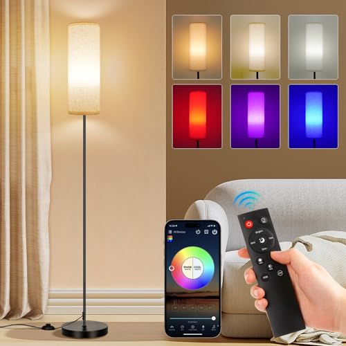 Minimalist FRIDEKO HOME Floor Lamp, 9W 800LM Color Set